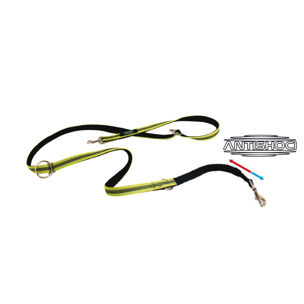 croci-hiking-adventure-laisse-chien-randonn-e-rouge-amortisseur image 2