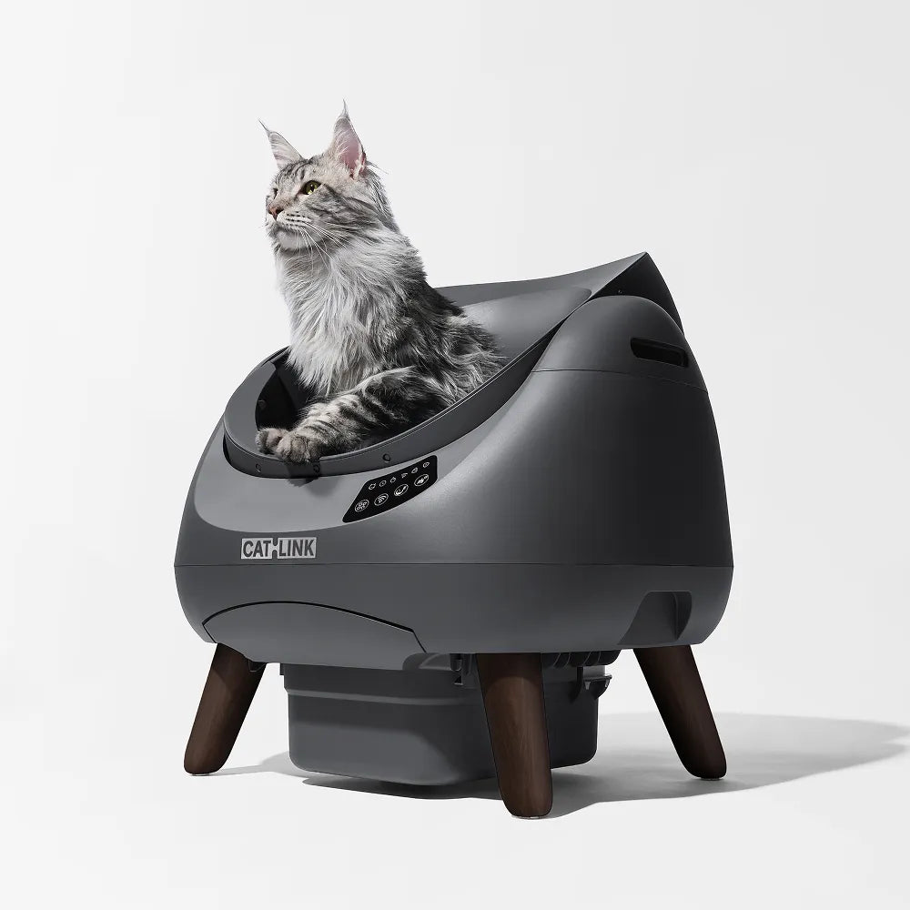 catlink-scooper-open-x-liti-re-autonettoyante-12l-1-chat image 2