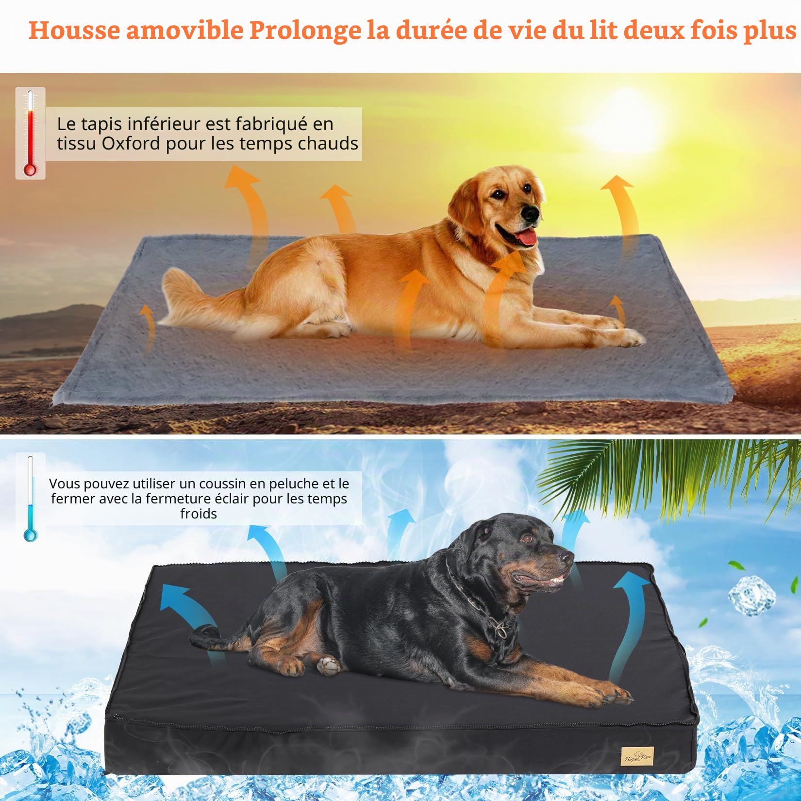 bingopaw-dog-bed-panier-chien-xl-orthop-dique-105x70-lavable image 3