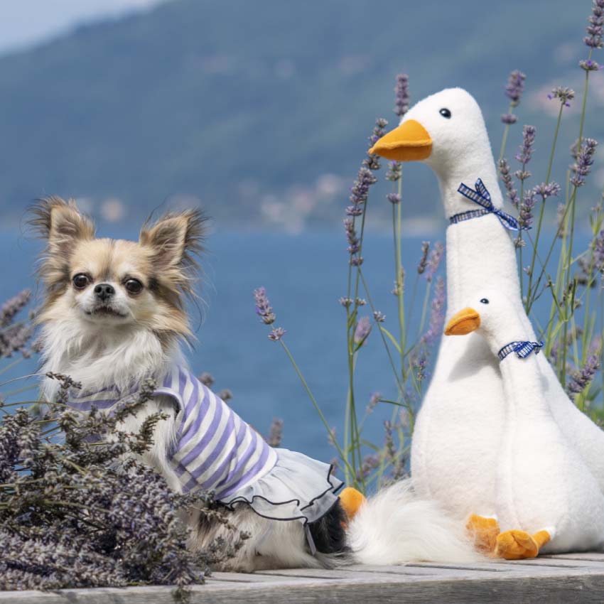 croci-goose-coussin-chien-oie-blanc-30-cm image 2