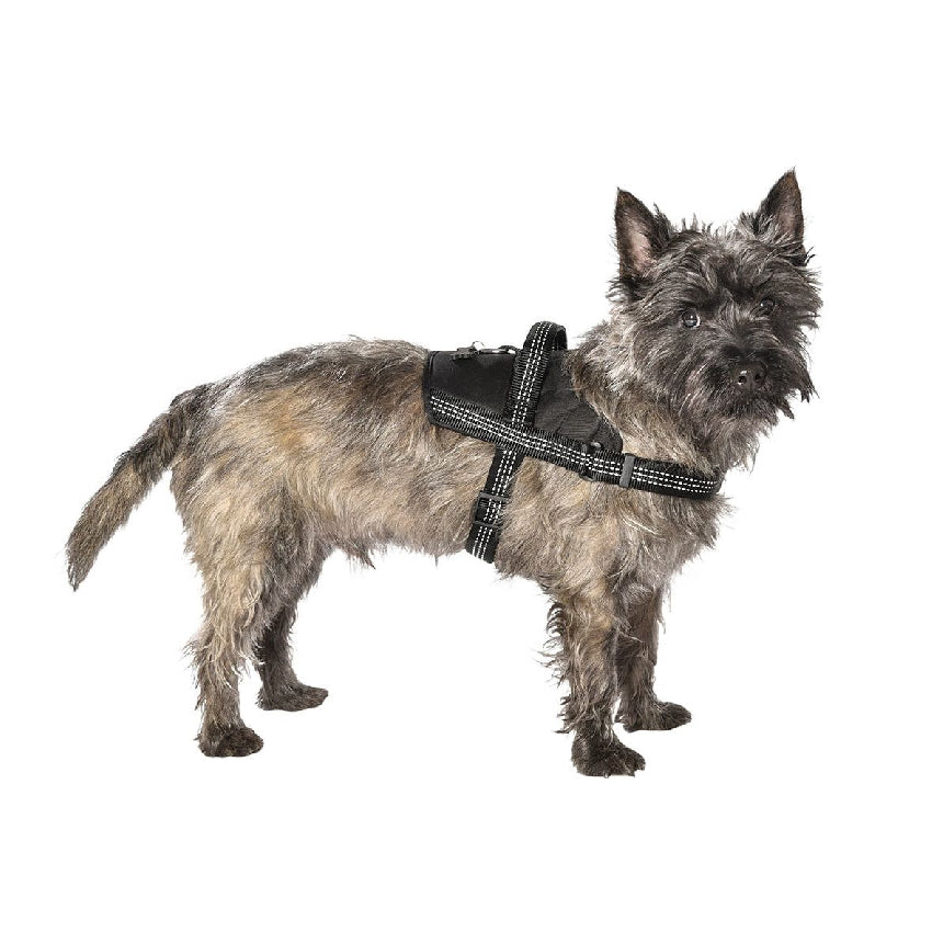 croci-bobby-harnais-chien-y-r-glable-easy-safe image 5