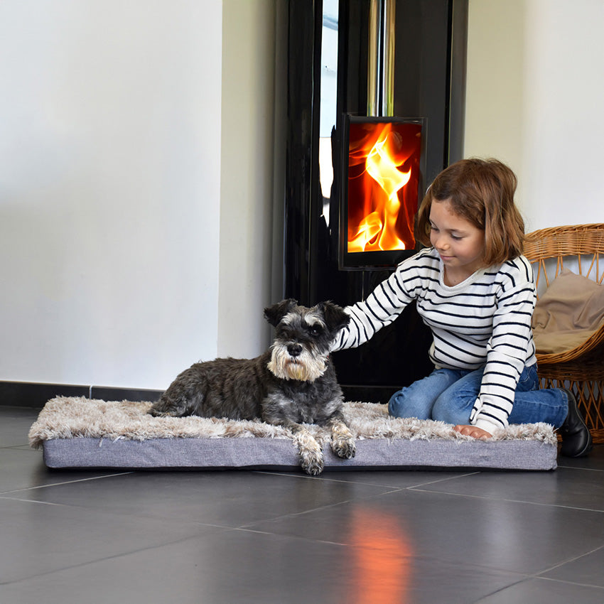 croci-bobby-poilu-coussin-chien-beige-100x65-cm-mousse image 4