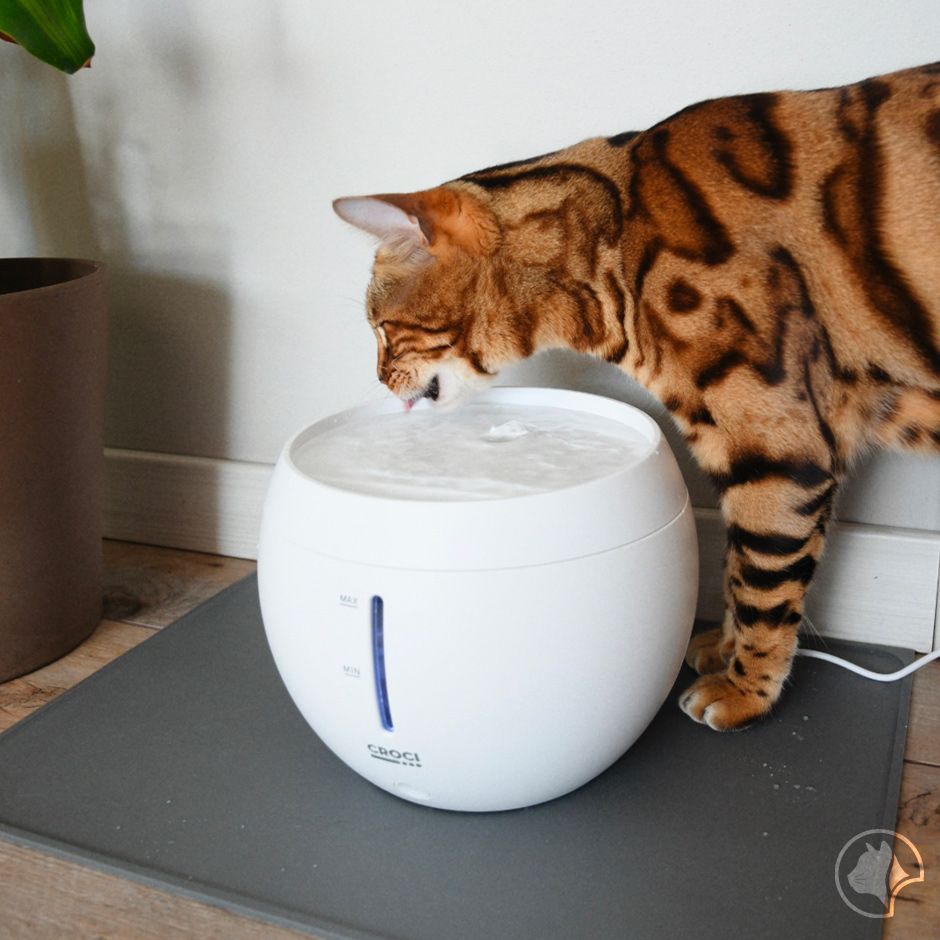 croci-aqua-fontaine-chat-2-l-silencieuse-tds image 5