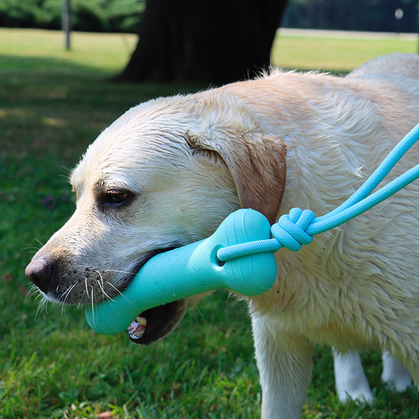 croci-jouet-caoutchouc-chien-os-corde-poign-e-r-sistant image 2