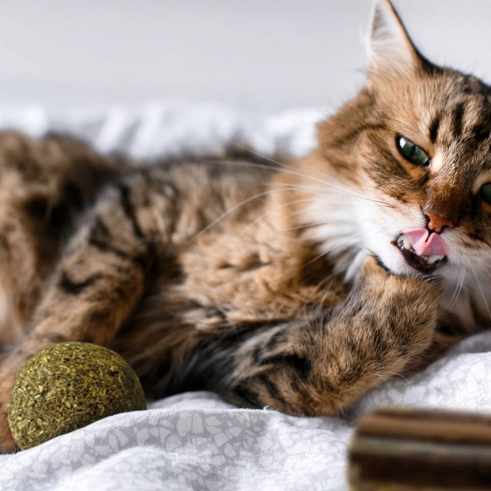 croci-euphoria-balles-chat-catnip-matatabi-lot-2 image 3