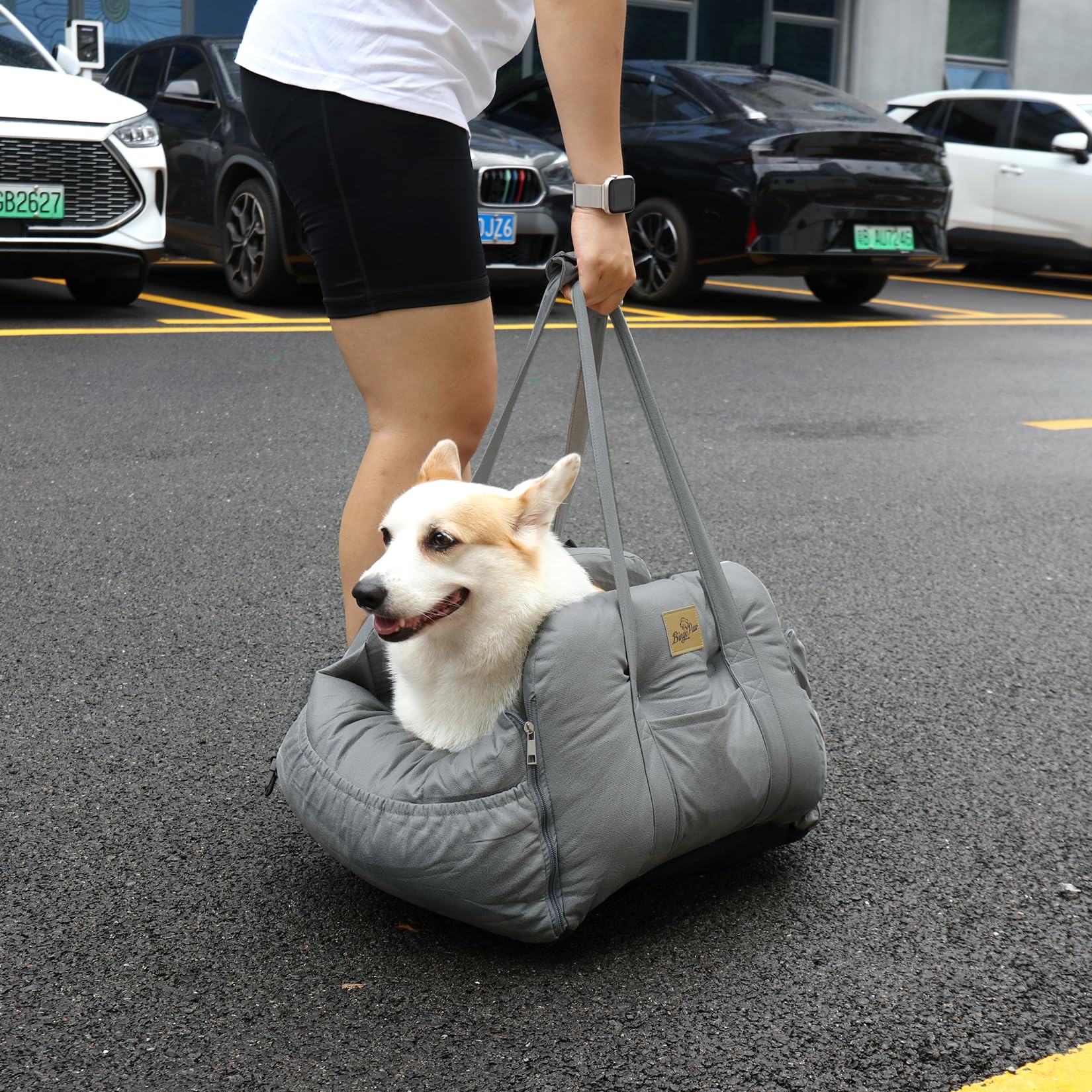 bingopaw-si-ge-auto-chien-panier-transport-64x43x28cm image 8