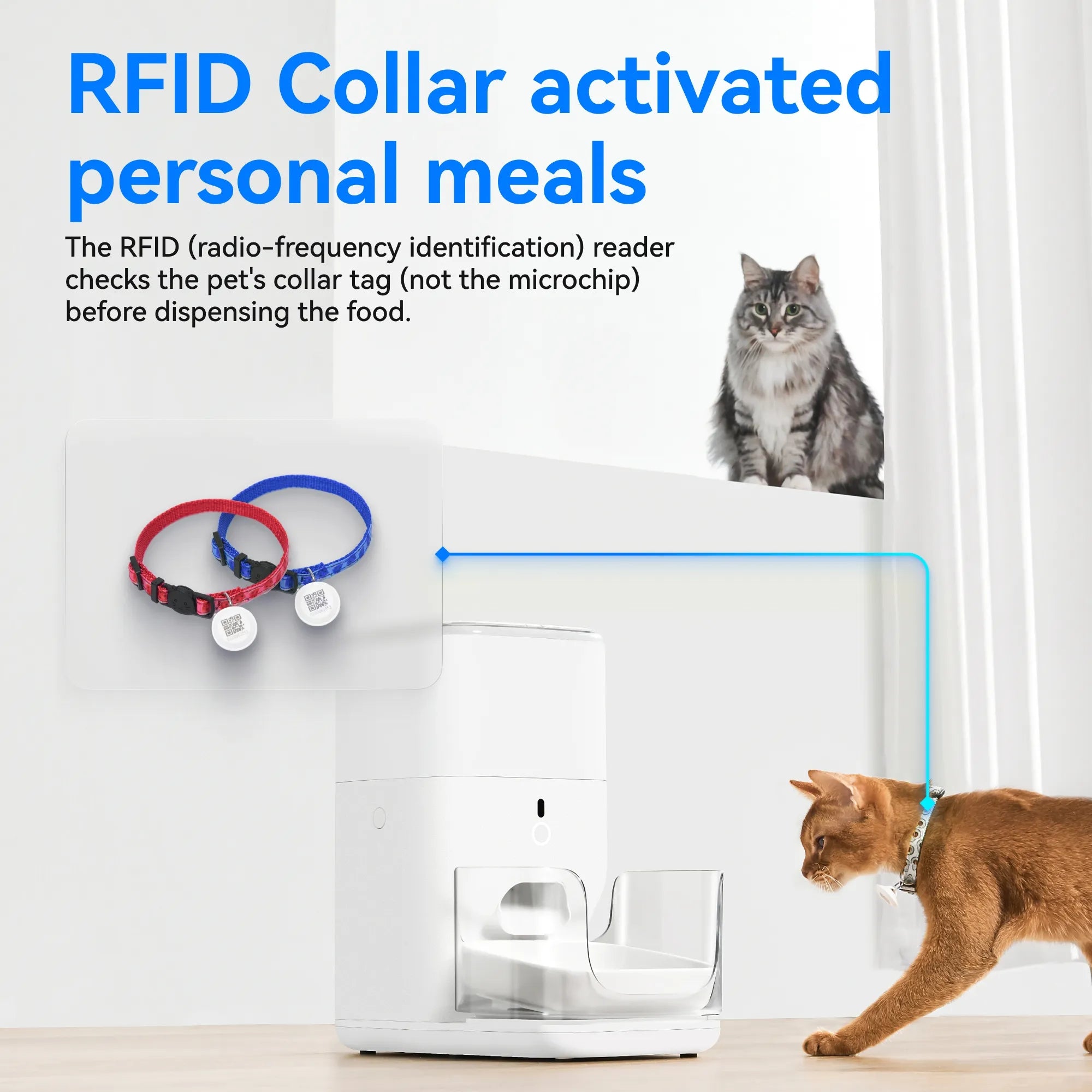 catlink-automatic-feeder-rfid-fresh-2-distributeur-croquettes-4l image 6