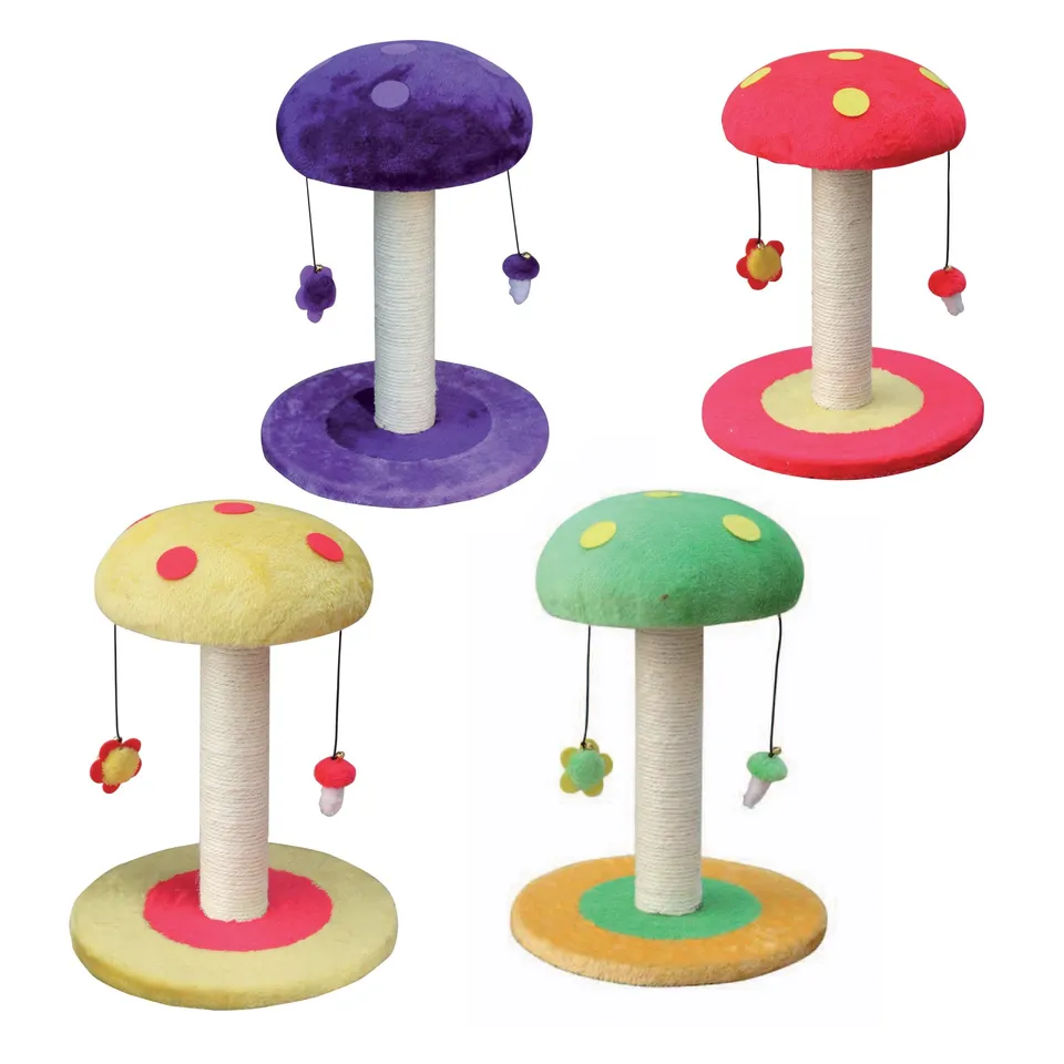 croci-mushroom-griffoir-chat-champignon-couleur-assortie image 1