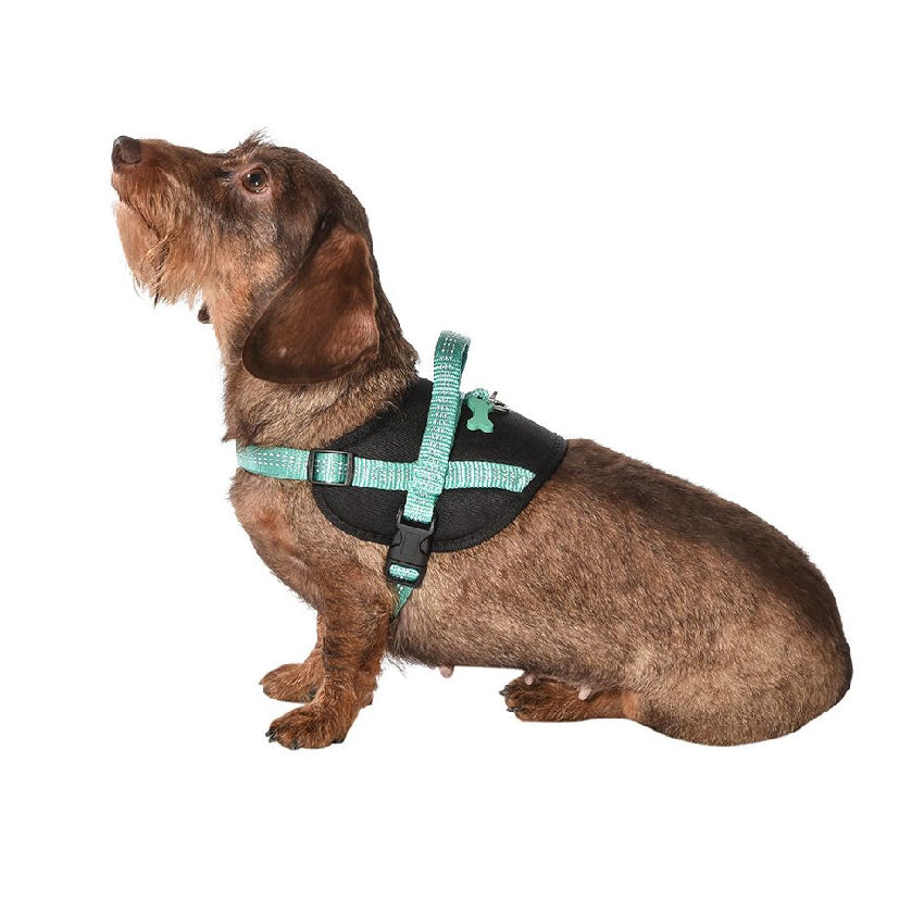 croci-bobby-harnais-chien-y-r-glable-easy-safe image 3