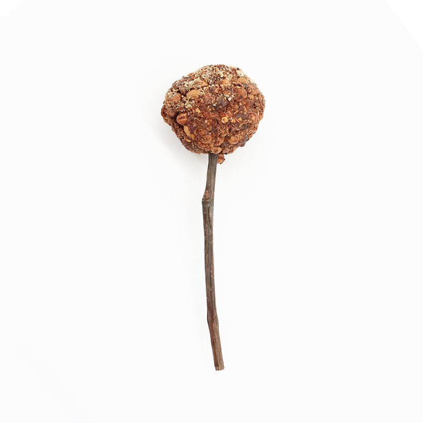 croci-woodchuck-lolly-snack-lapin-coco-30-g-naturel image 2