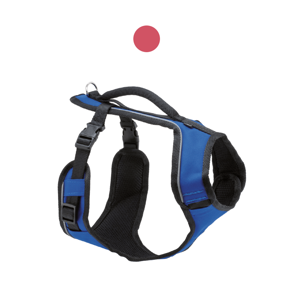 croci-easy-sport-harnais-chien-nylon-rembourr-bleu-m image 4