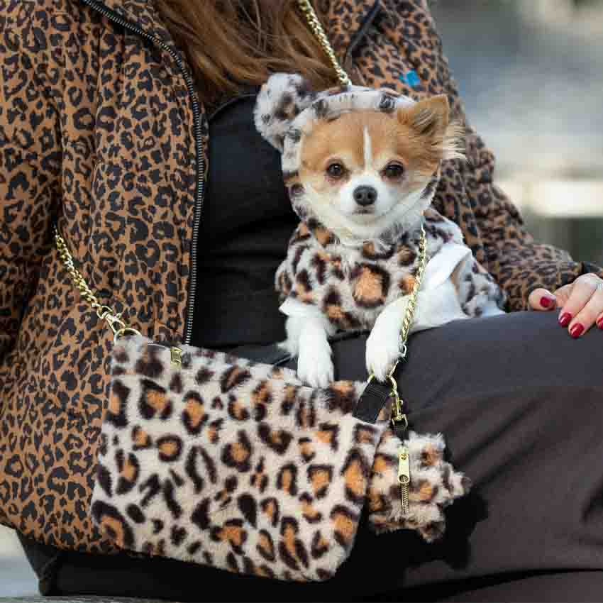 croci-guepard-sweatshirt-chien-l-opard-capuche-35-cm image 2