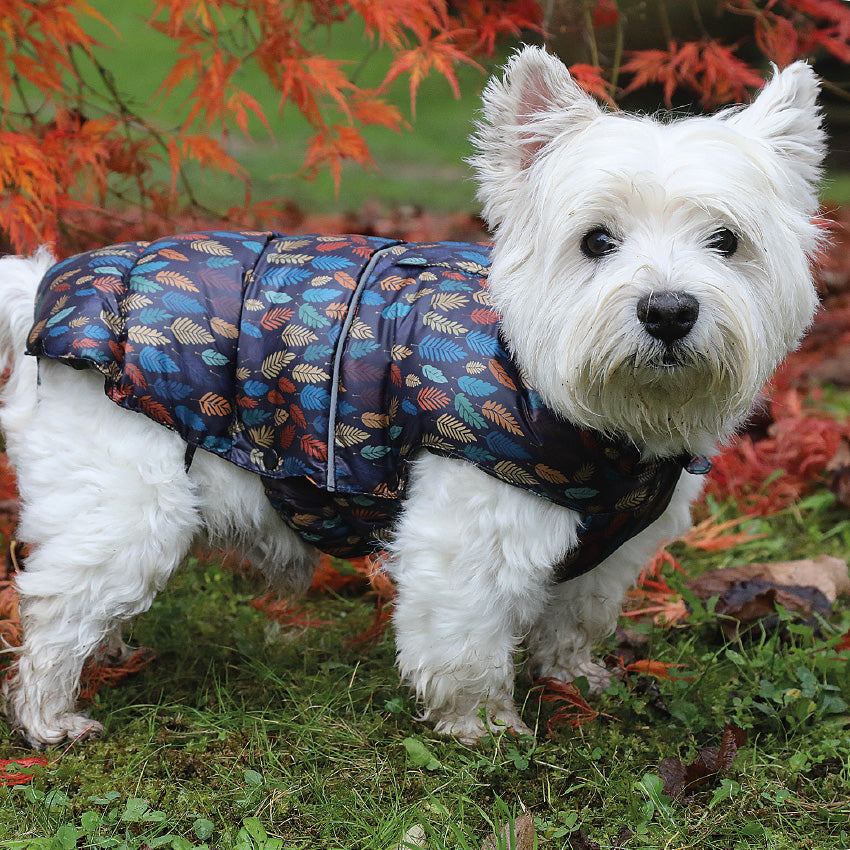 croci-forest-manteau-chien-imperm-able-35-cm-feuilles image 2