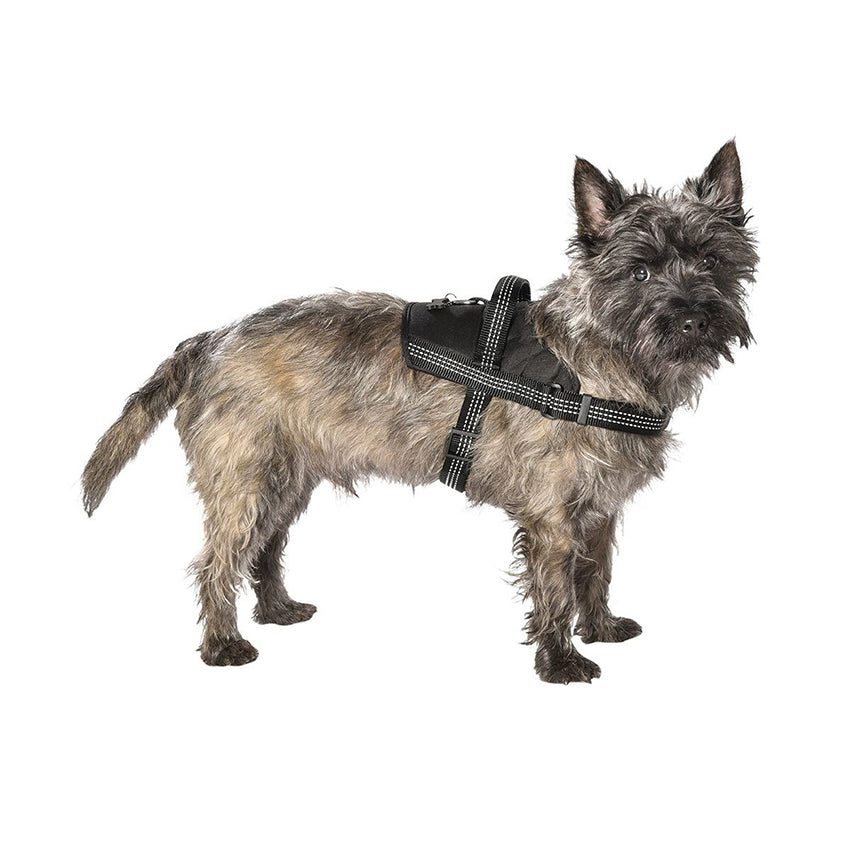 croci-bobby-easy-safe-harnais-chien-noir-m-r-fl-chissant image 6