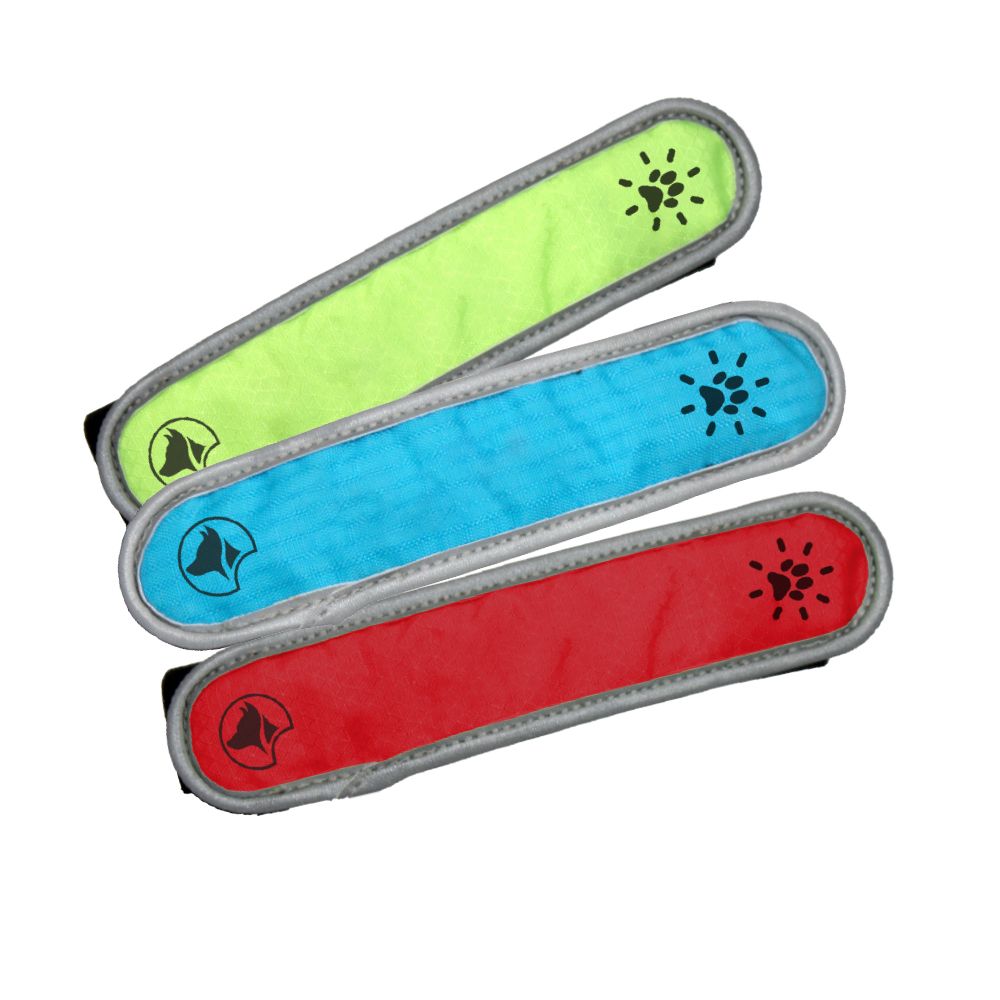 croci-joker-bande-led-nylon-laisse-chien-couleurs-assorties image 1