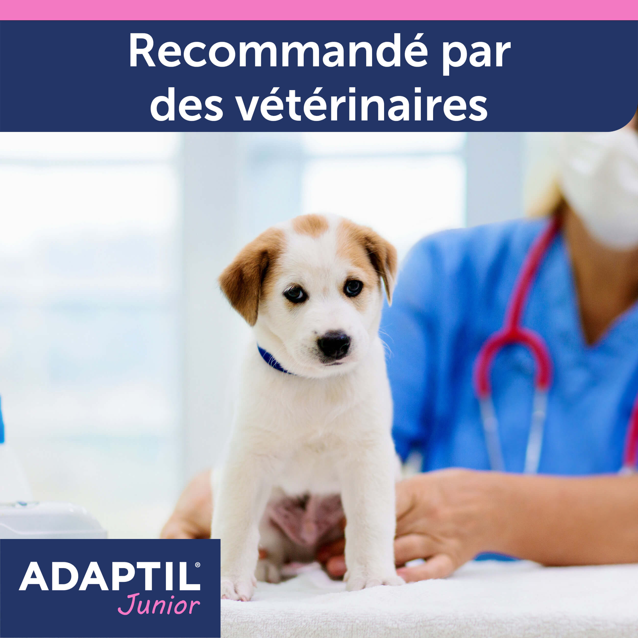 adaptil-junior-collier-apaisant-chiot-ajustable-30-jours image 8