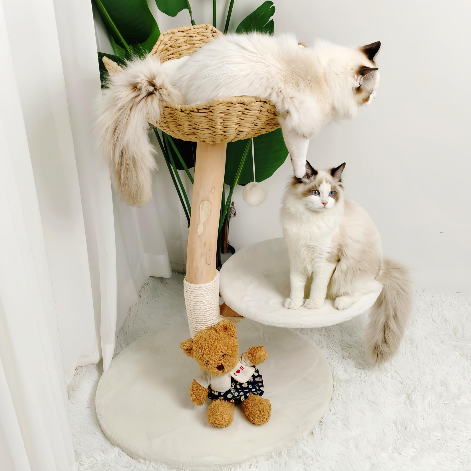 bingopaw-cat-climber-arbre-chat-bois-91-cm-sisal-2-plateformes image 3