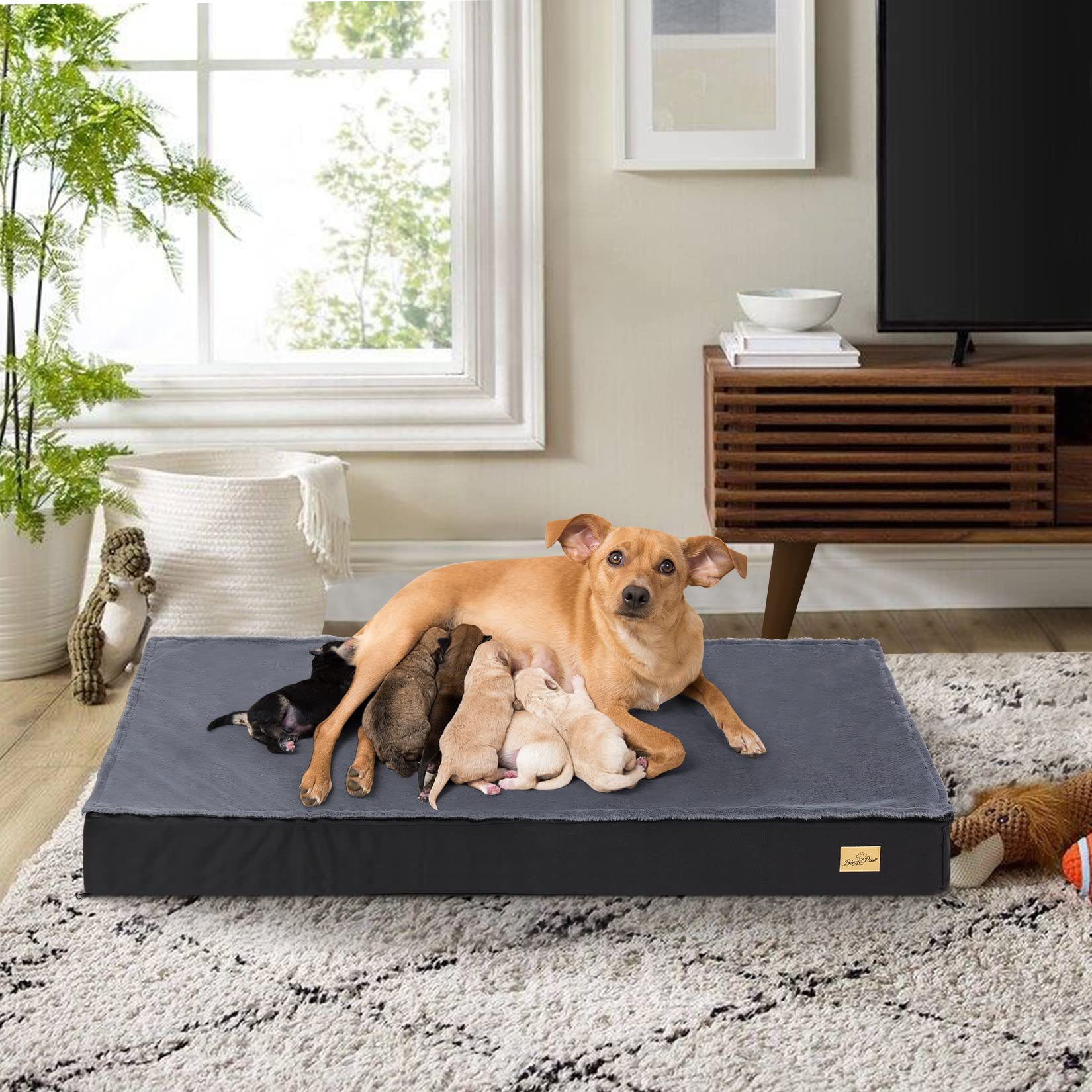 bingopaw-dog-bed-panier-chien-xxl-120x75cm-orthop-dique image 4