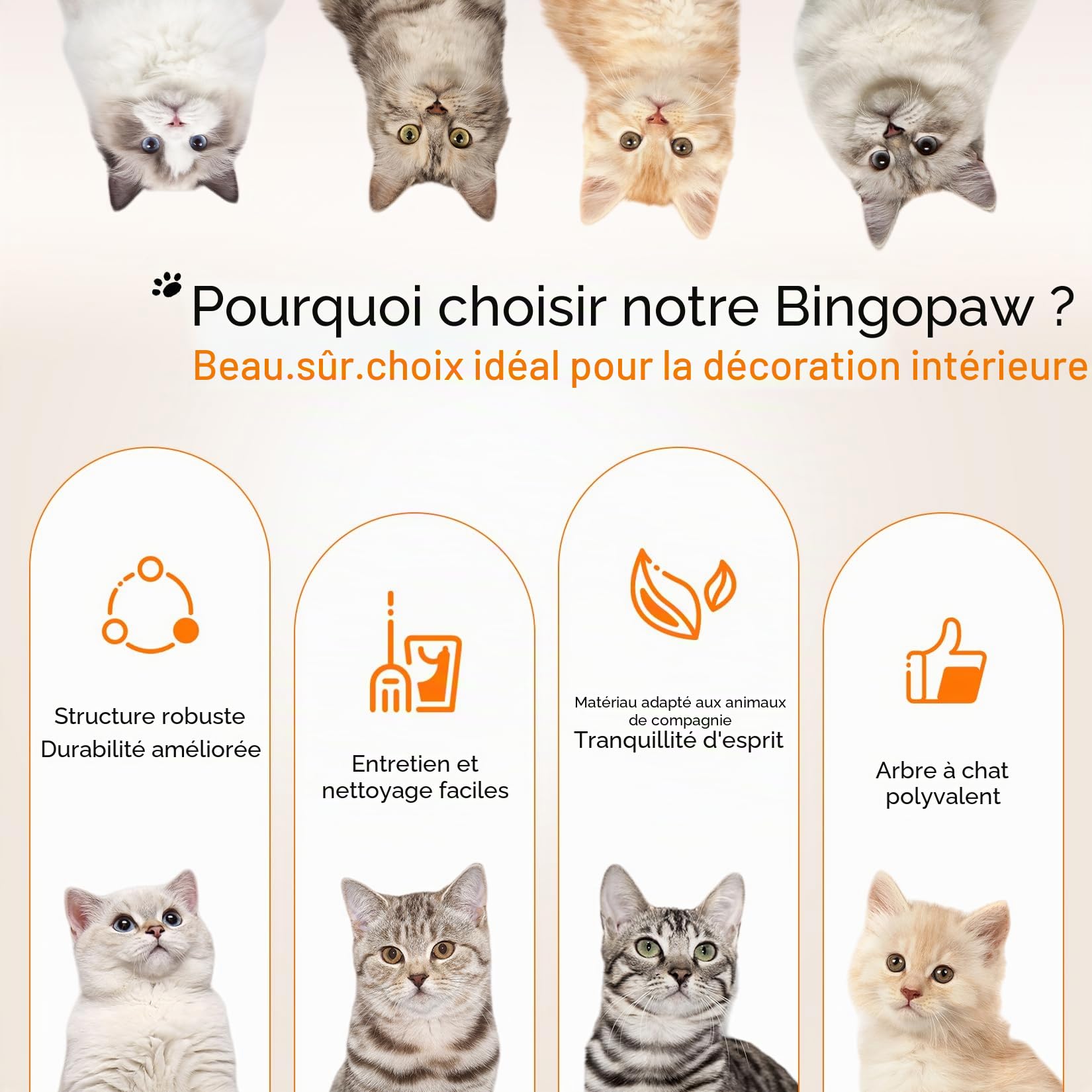 bingopaw-cat-climber-arbre-chat-bois-111cm-3-plateformes image 8