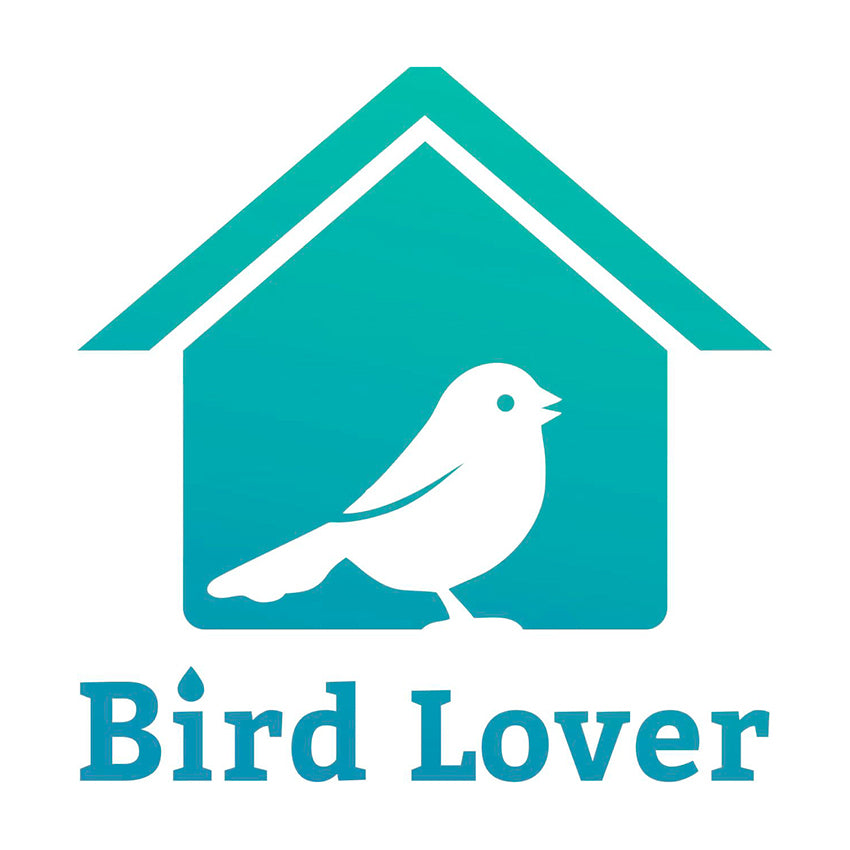 croci-smart-mangeoire-oiseaux-wifi-cam-ra-hd-bois-solaire image 6