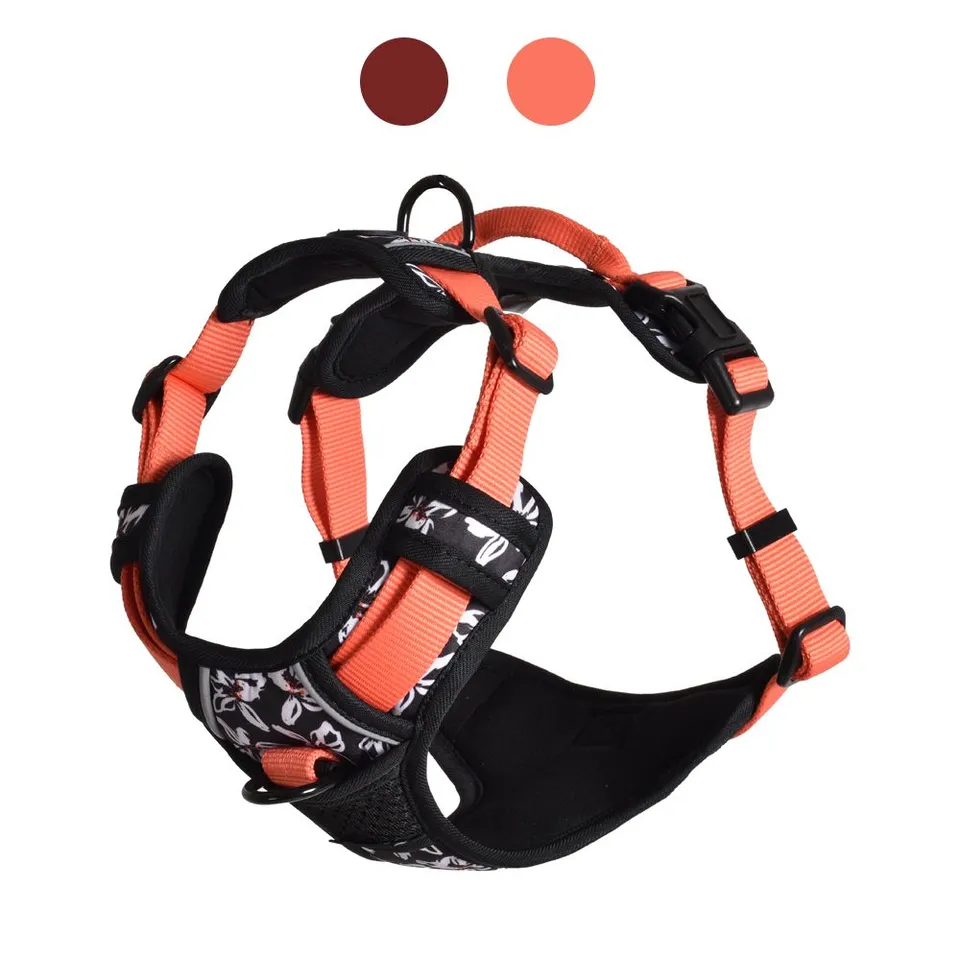 croci-bobby-rando-monoi-harnais-anti-traction-orange image 1