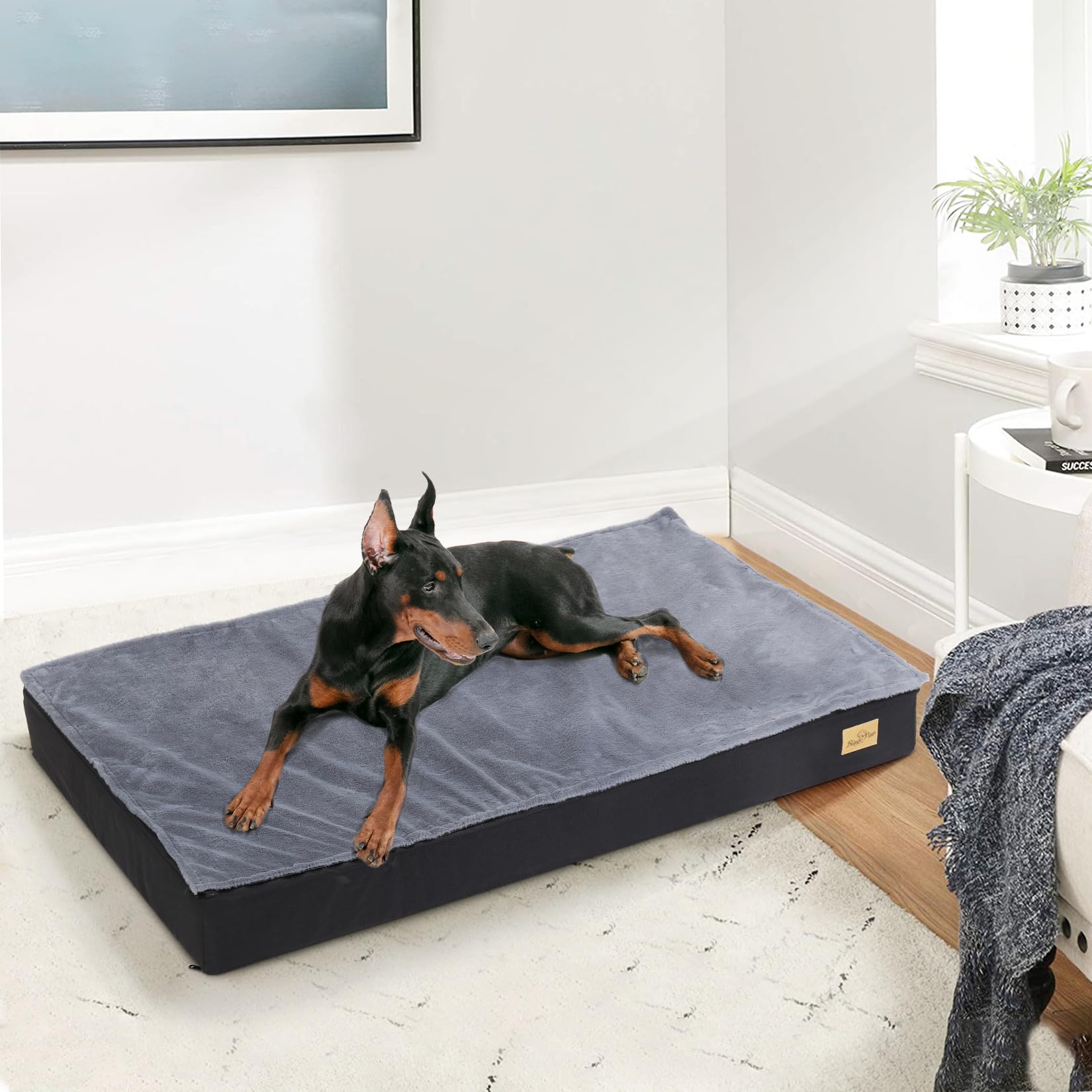 bingopaw-dog-bed-panier-chien-xl-orthop-dique-105x70-lavable image 7