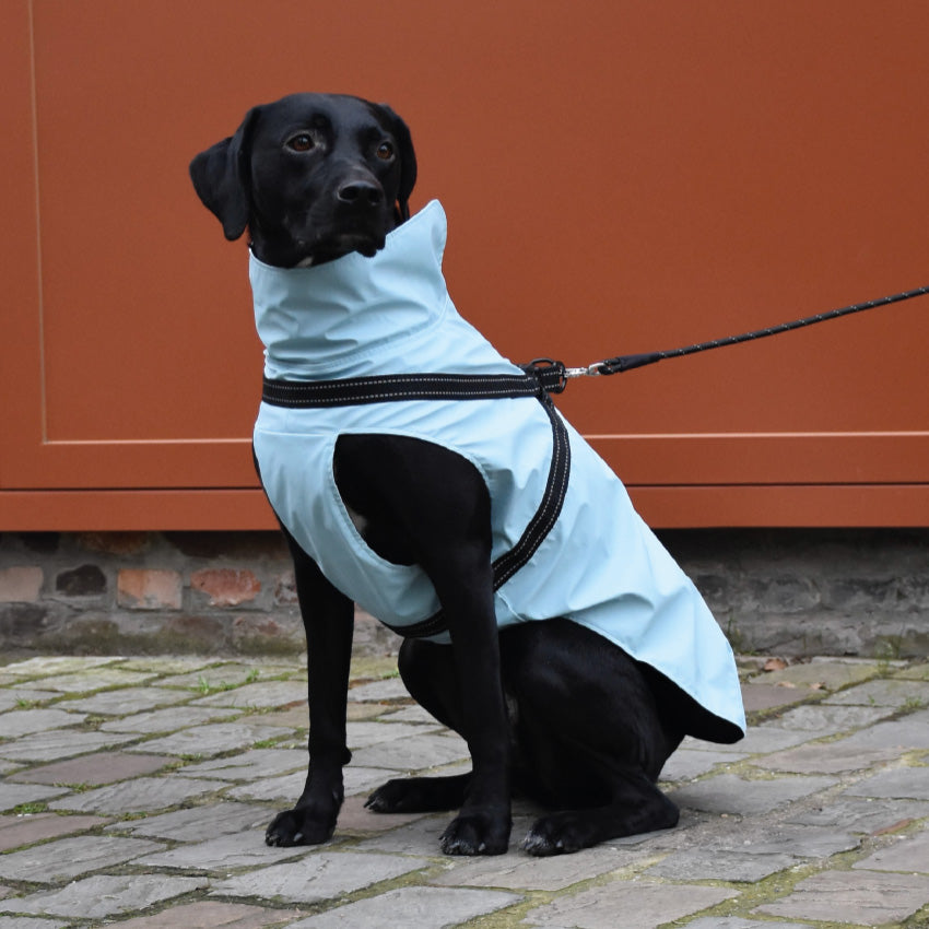 croci-tom-manteau-chien-imperm-able-n-opr-ne-r-fl-chissant image 6