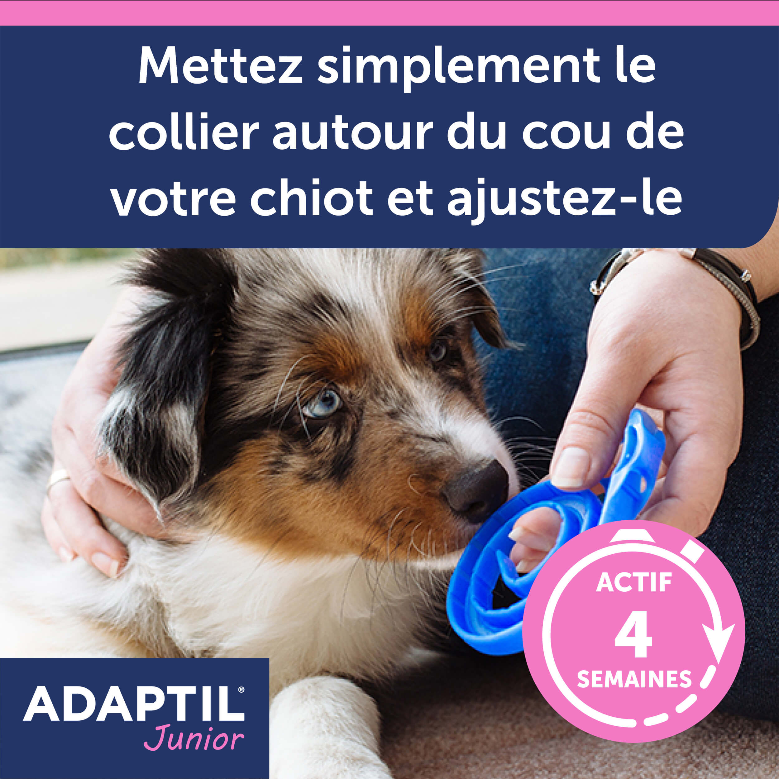 adaptil-junior-collier-apaisant-chiot-ajustable-30-jours image 4