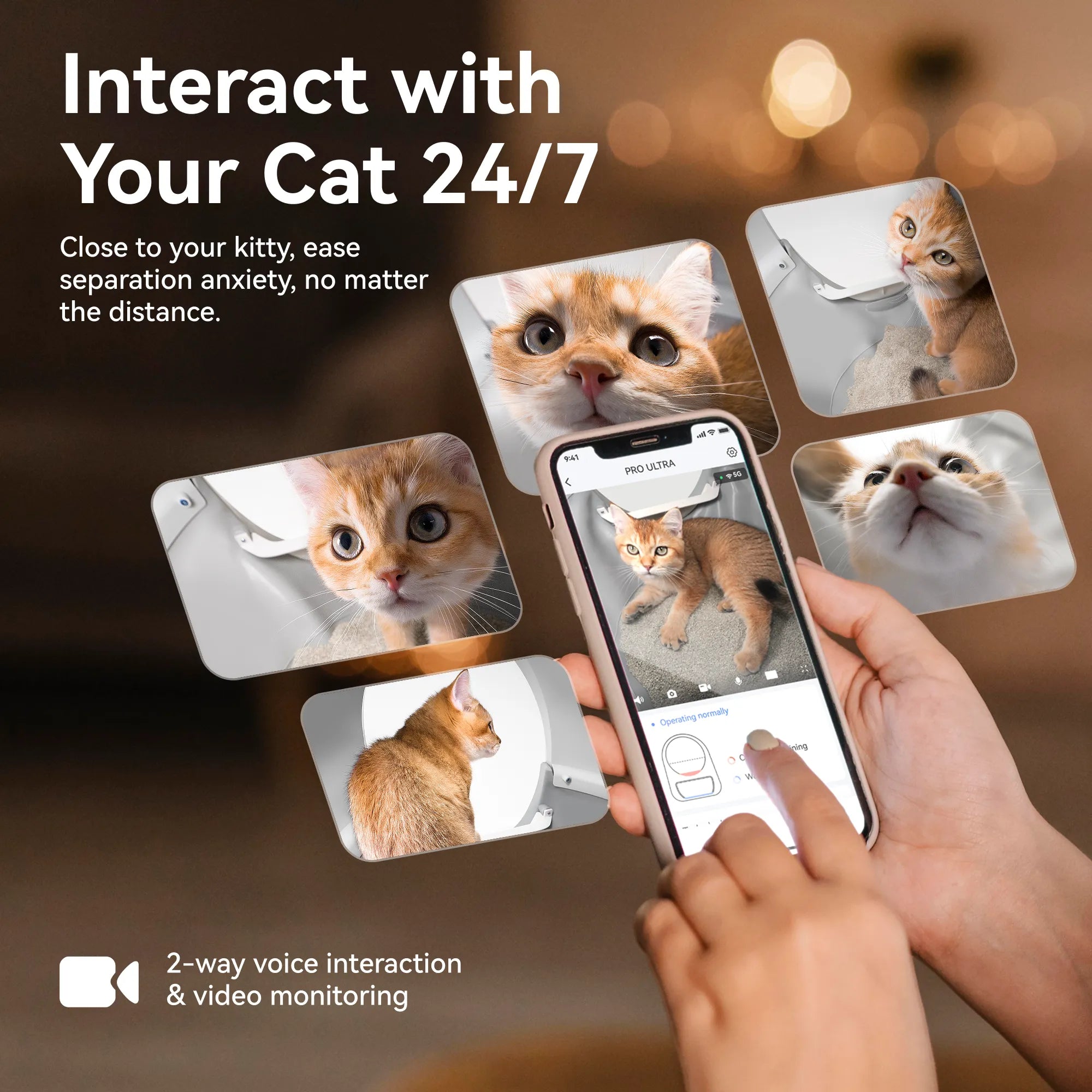 catlink-scooper-pro-ultra-liti-re-automatique-cam-ra-single-set image 4