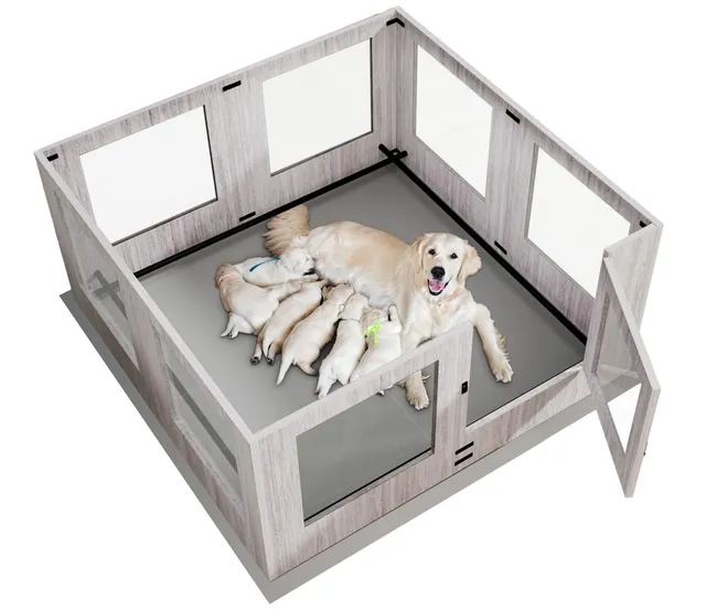 bingopaw-playpen-fence-parc-chien-verre-120cm-parc-complet-tapis image 1