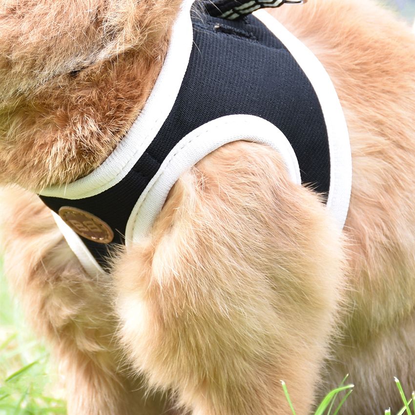 croci-bobby-stripe-harnais-lapin-laisse-nylon-2xs image 2
