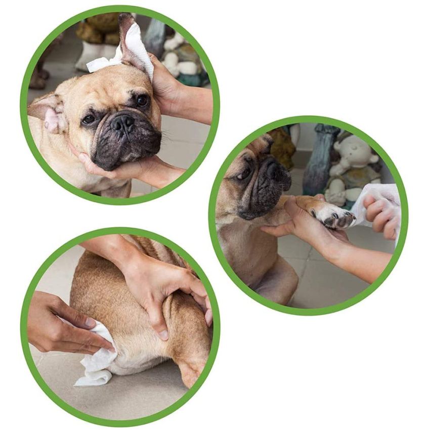 croci-pet-wipes-lingettes-chien-chat-vanille-30-pcs image 4
