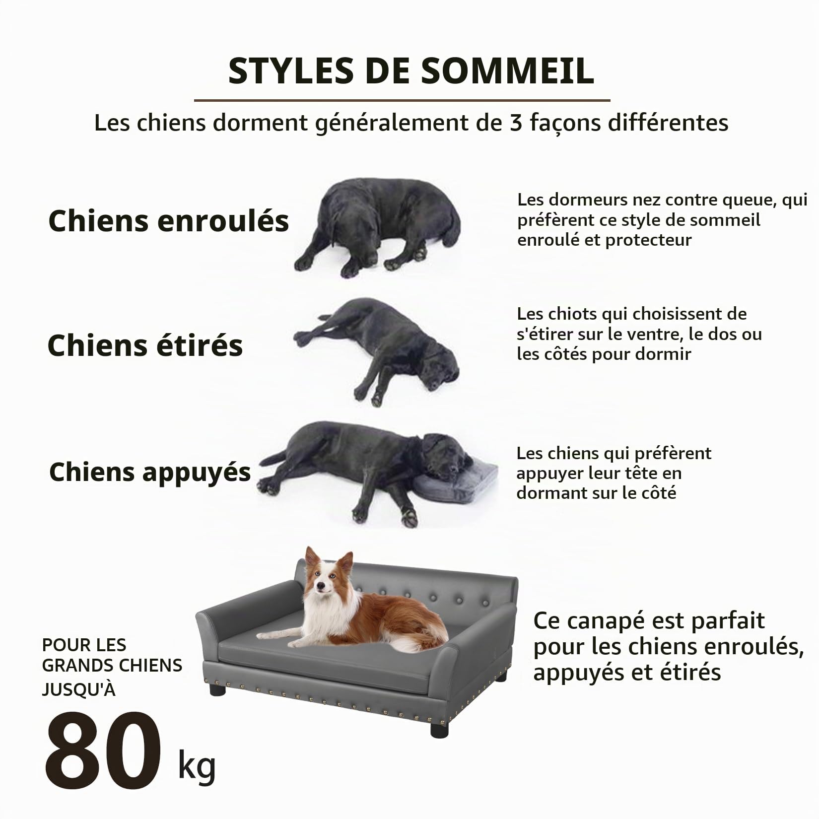 bingopaw-pet-sofa-canap-chien-xxl-120x74x40cm-gris-fonc image 8