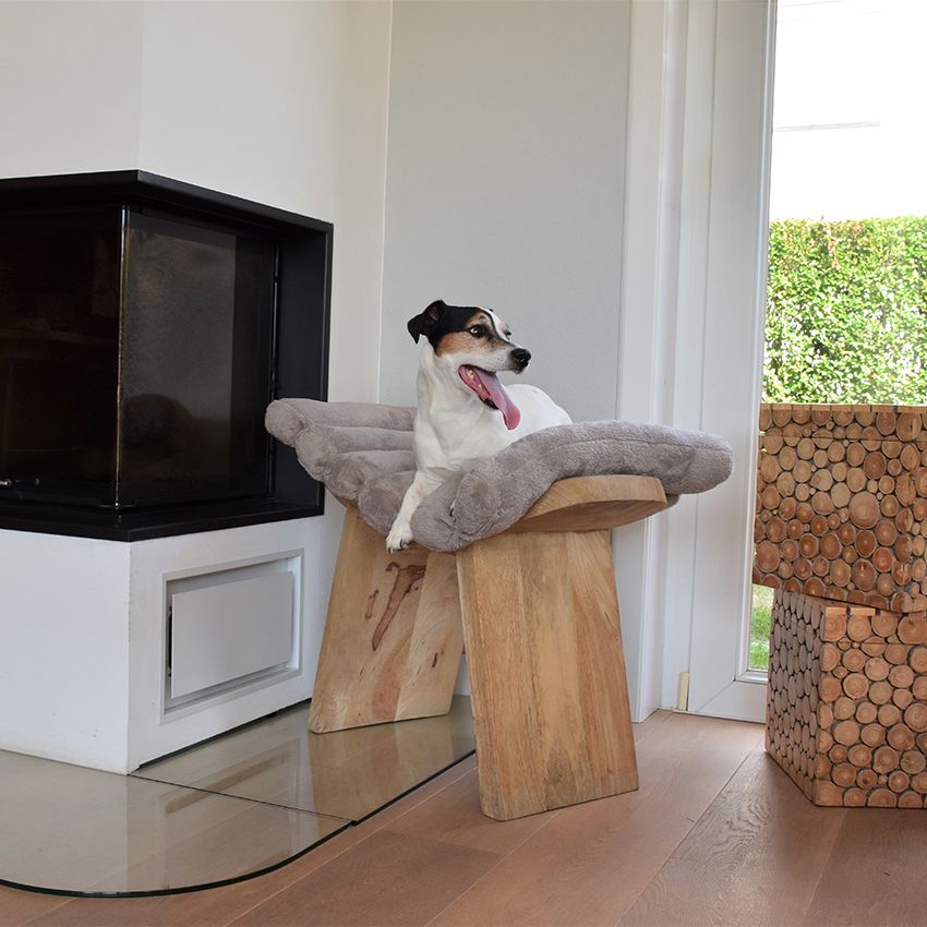 croci-bobby-feather-matelas-chien-chat-beige-50x35x6-cm image 2