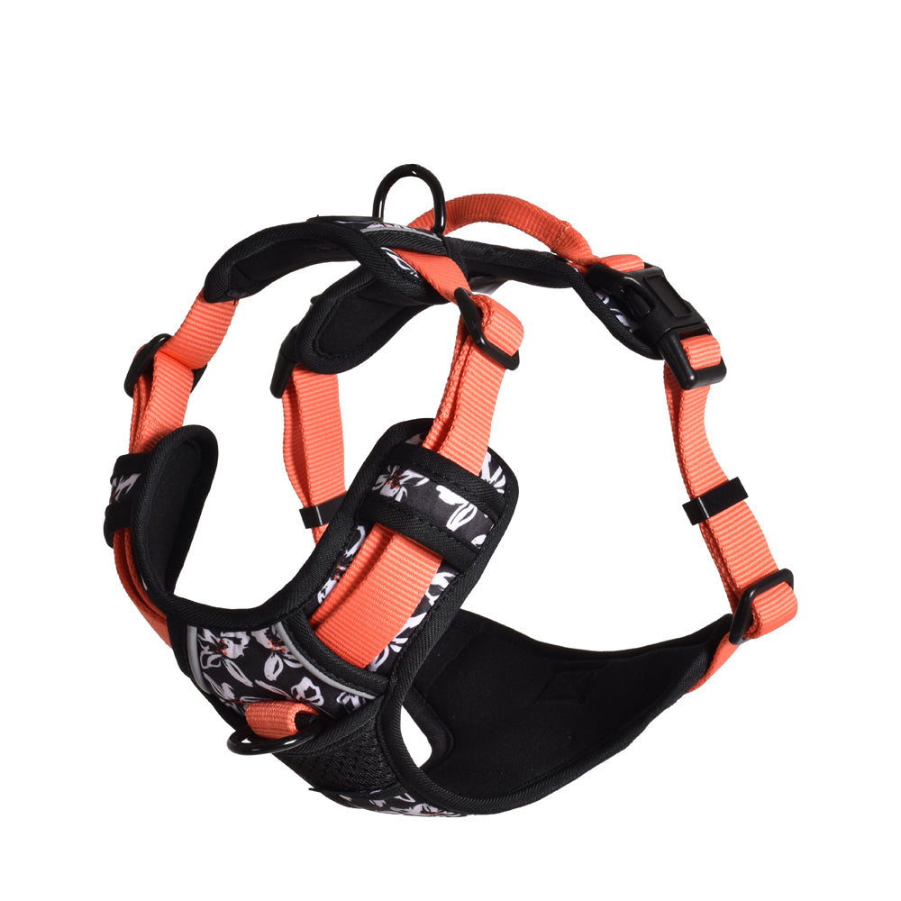 croci-bobby-rando-monoi-harnais-anti-traction-orange image 6