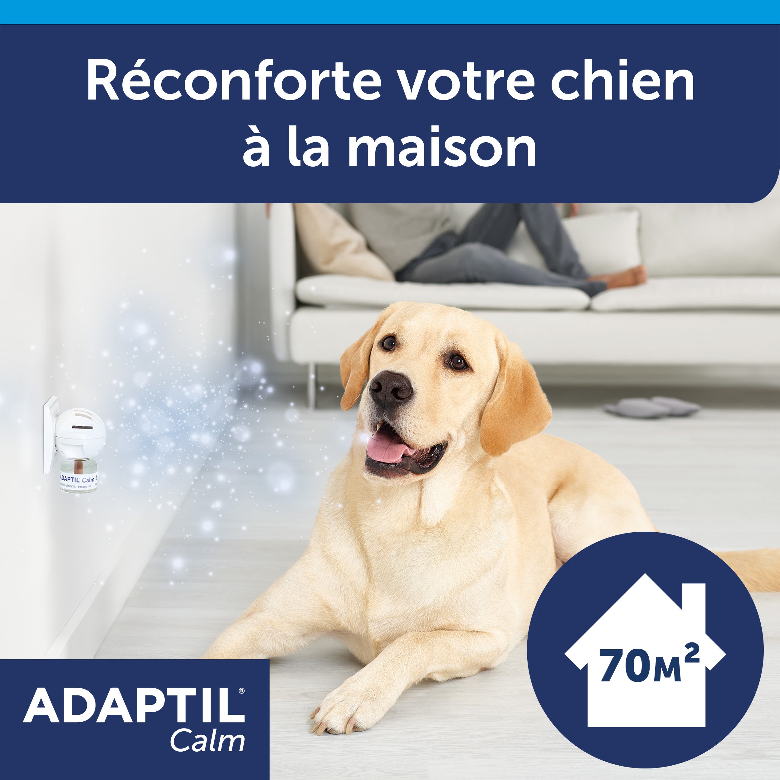 adaptil-calm-recharge-diffuseur-30-jours-48ml-chien image 4