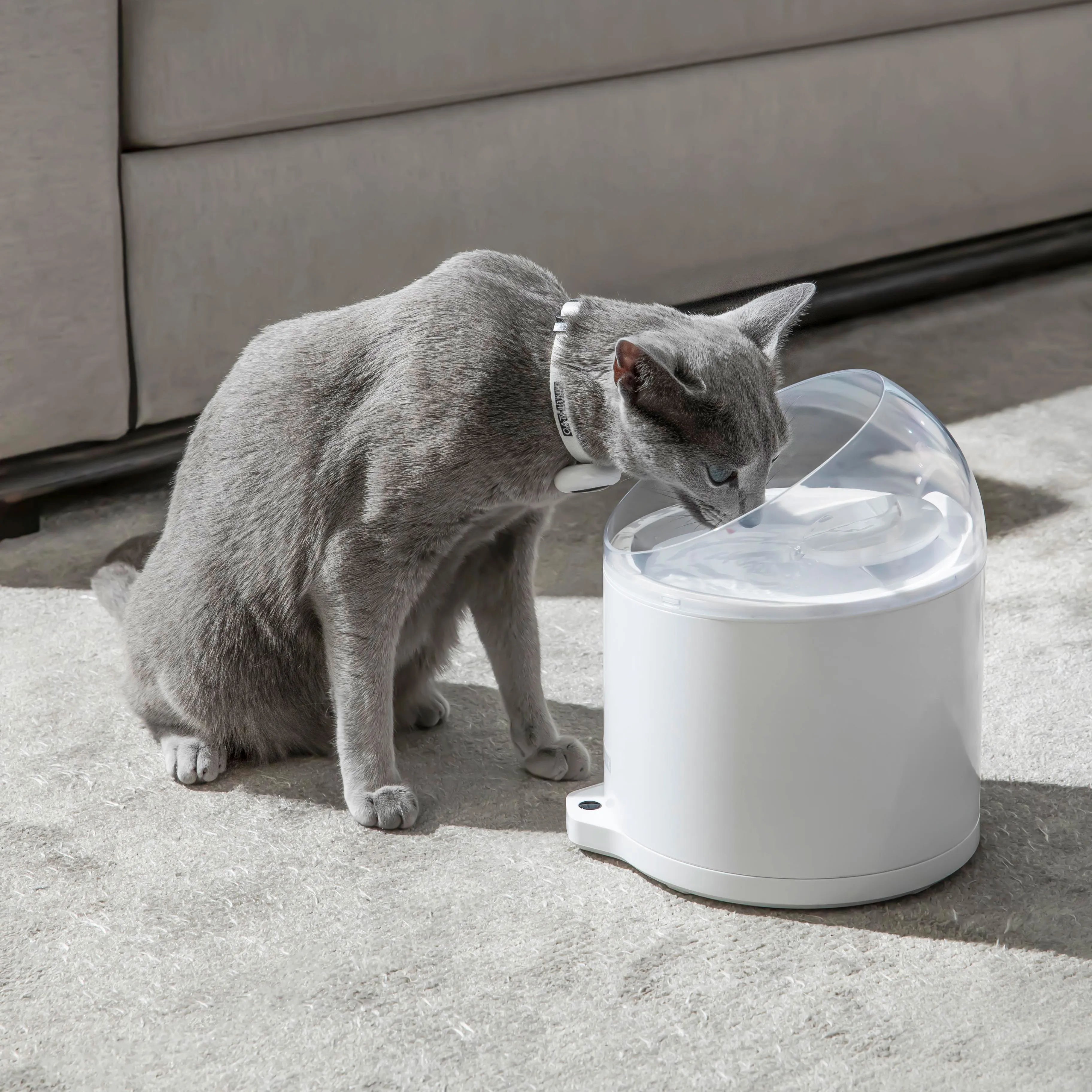 catlink-fresh-2-pure-2-set-distributeur-fontaine-eau-chat image 6