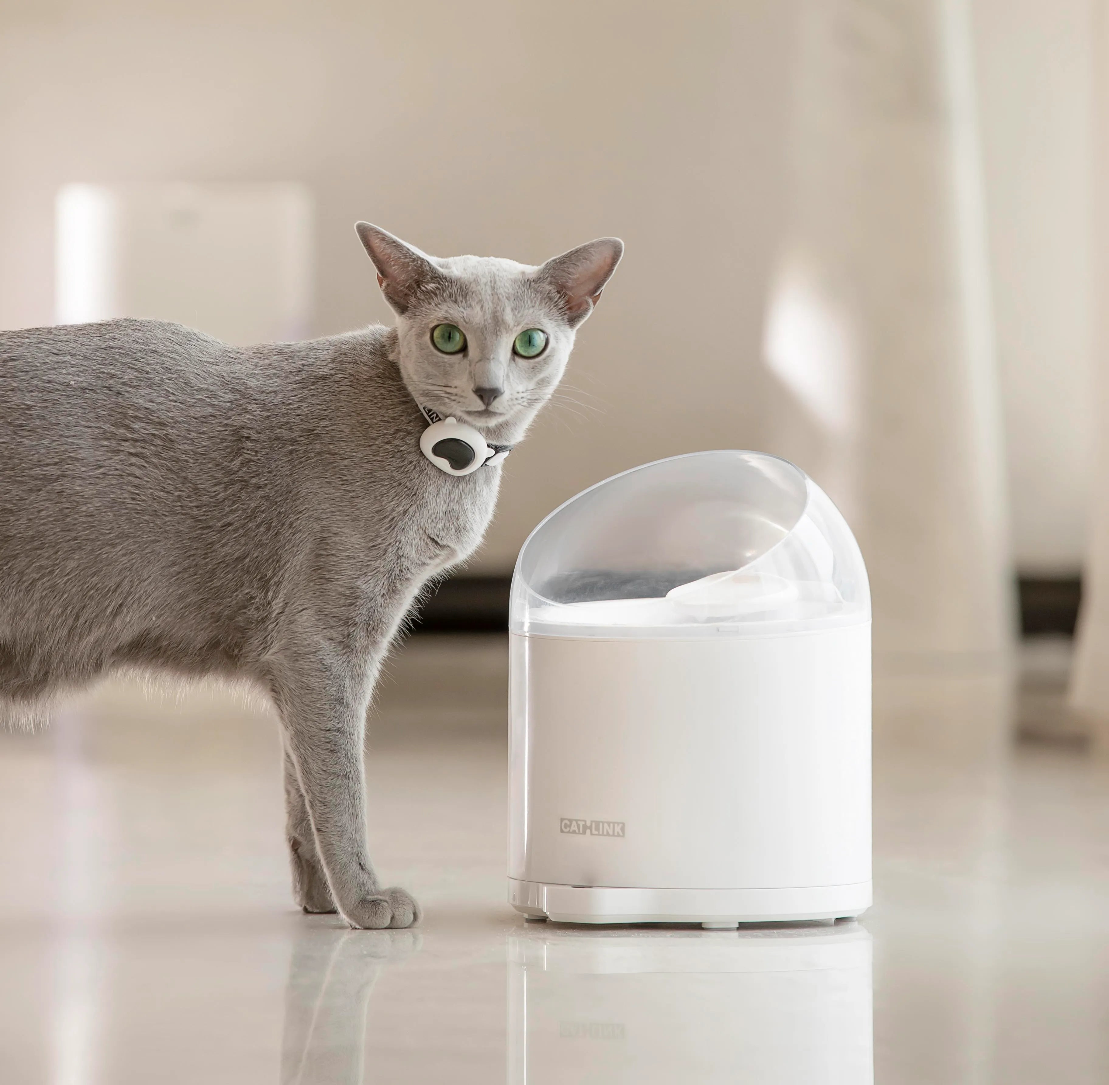 catlink-fresh-2-pure-2-set-distributeur-fontaine-eau-chat image 5