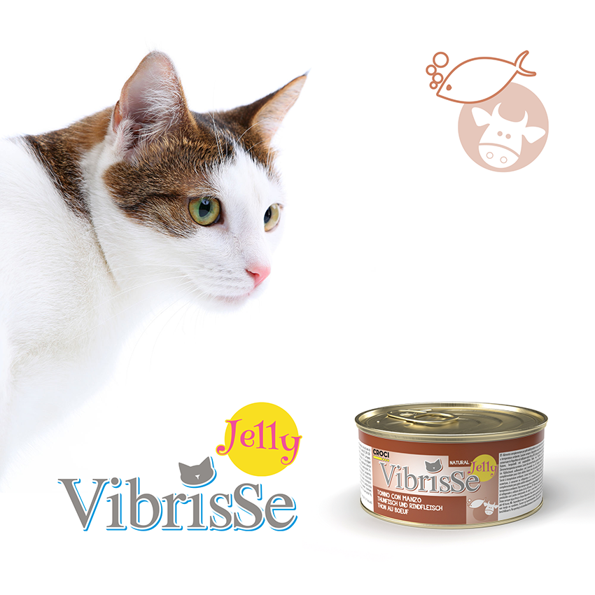 croci-vibrisse-jelly-p-t-e-chat-gel-e-thon-70-g image 7