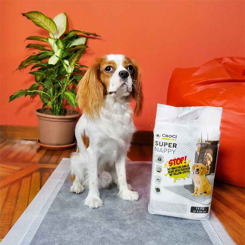 croci-super-nappy-tapis-chien-57x54-cm-30-pi-ces image 7