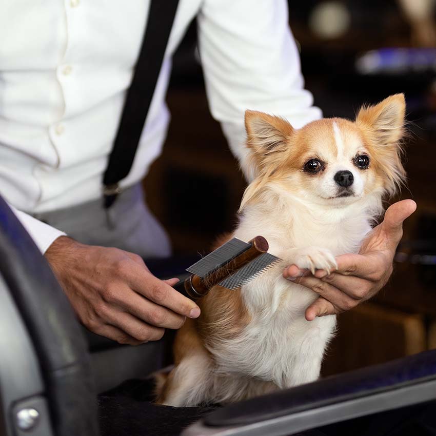croci-barbershop-peigne-double-dents-chien-et-chat-anti-puces image 3