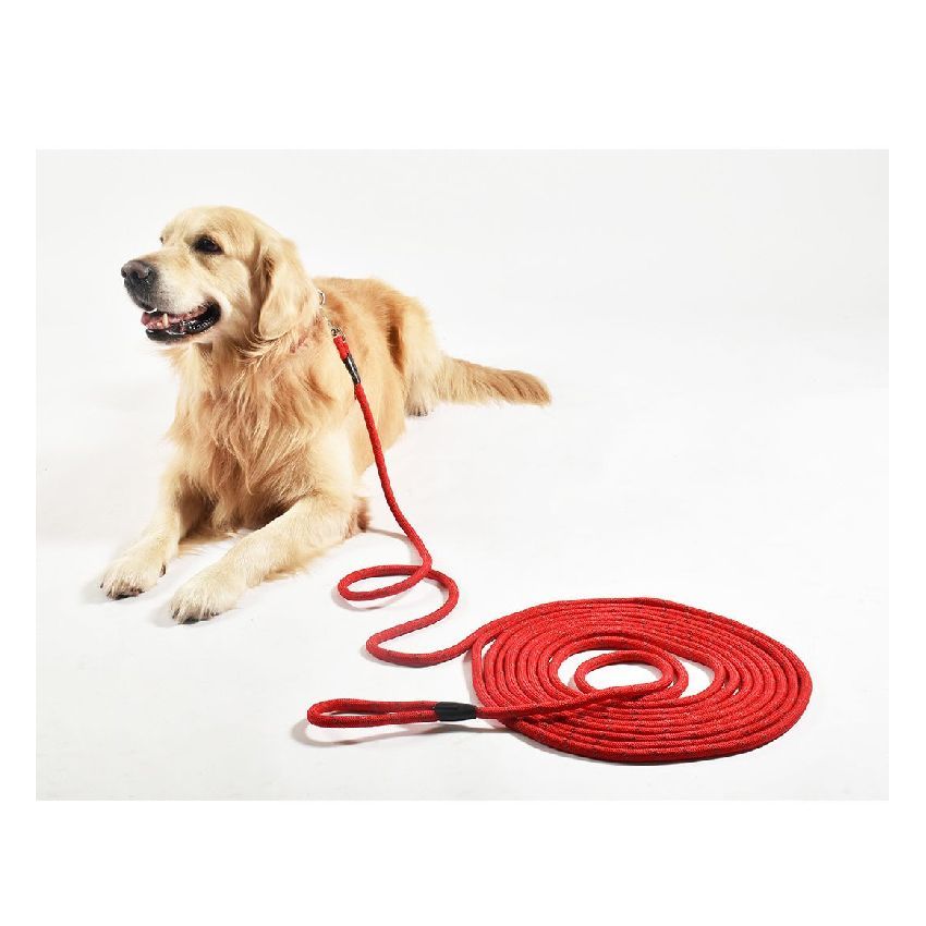 croci-bobby-walk-laisse-chien-orange-5-m image 6