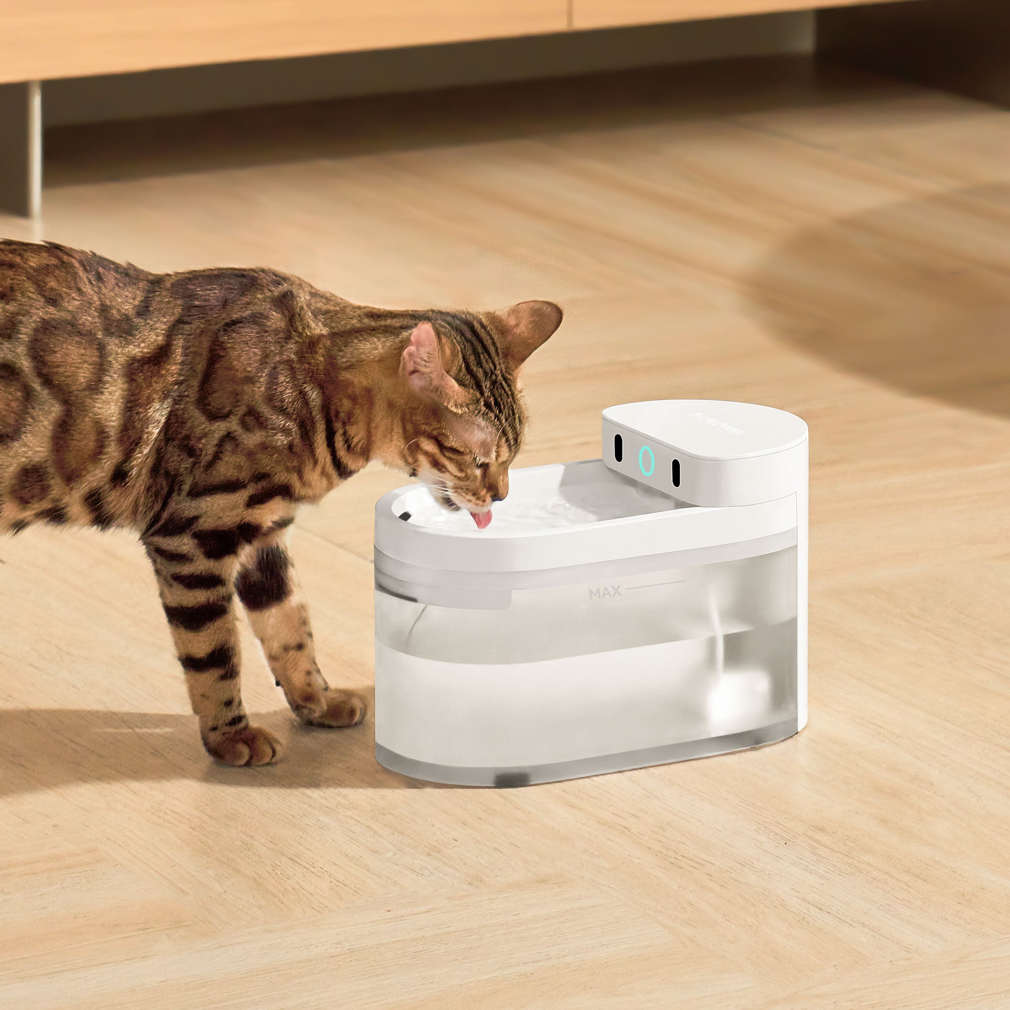 catlink-water-fountain-fontaine-eau-chat-sans-fil-lot-2-2-3-l image 7