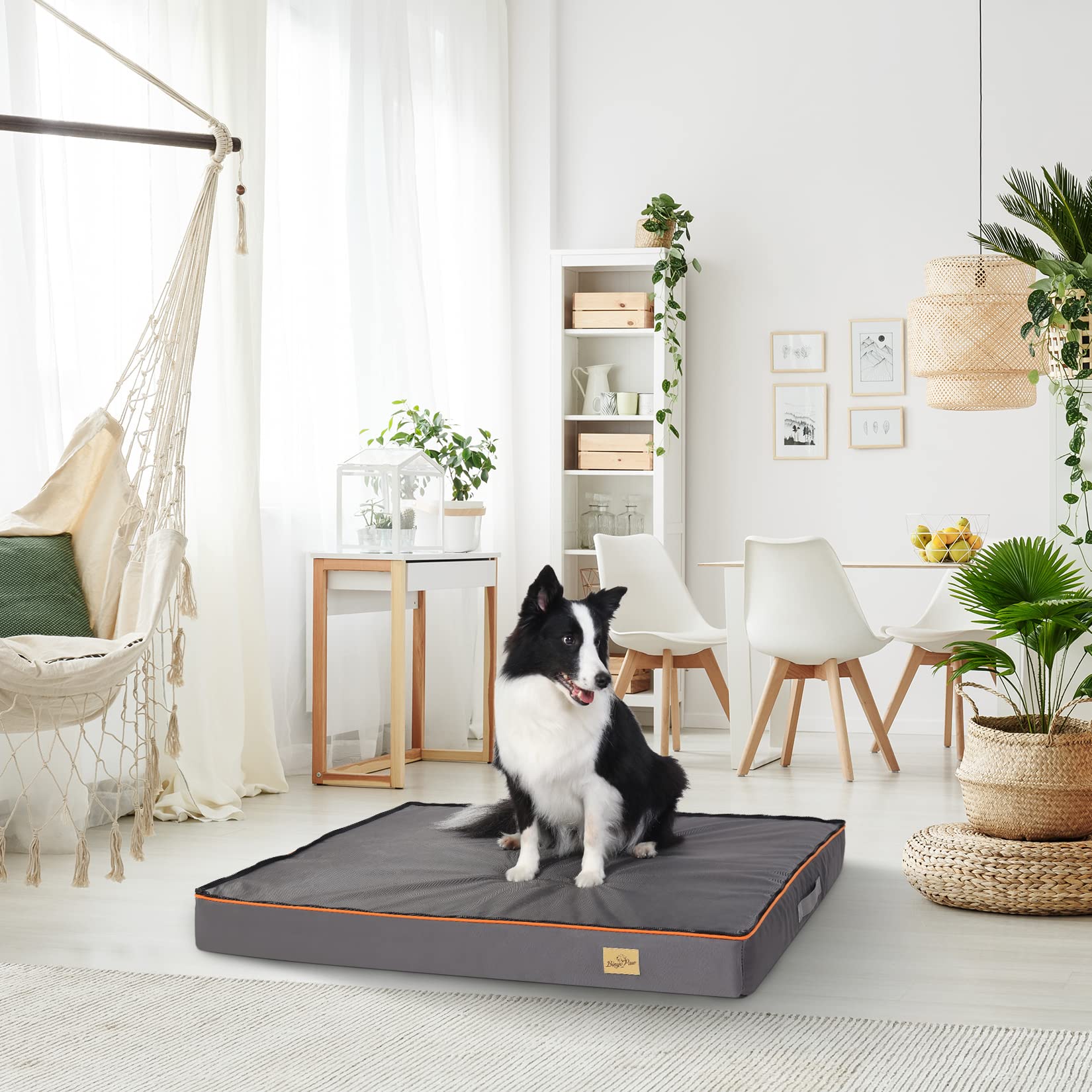 bingopaw-dog-bed-panier-chien-110x85x10cm-orthop-dique image 3