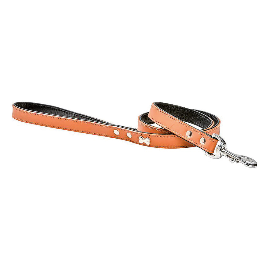croci-bobby-laisse-extra-souple-noire-120-cm-chien image 1