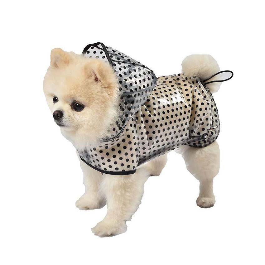 croci-bobby-cire-imperm-able-chien-transparent-pois-19-cm image 2