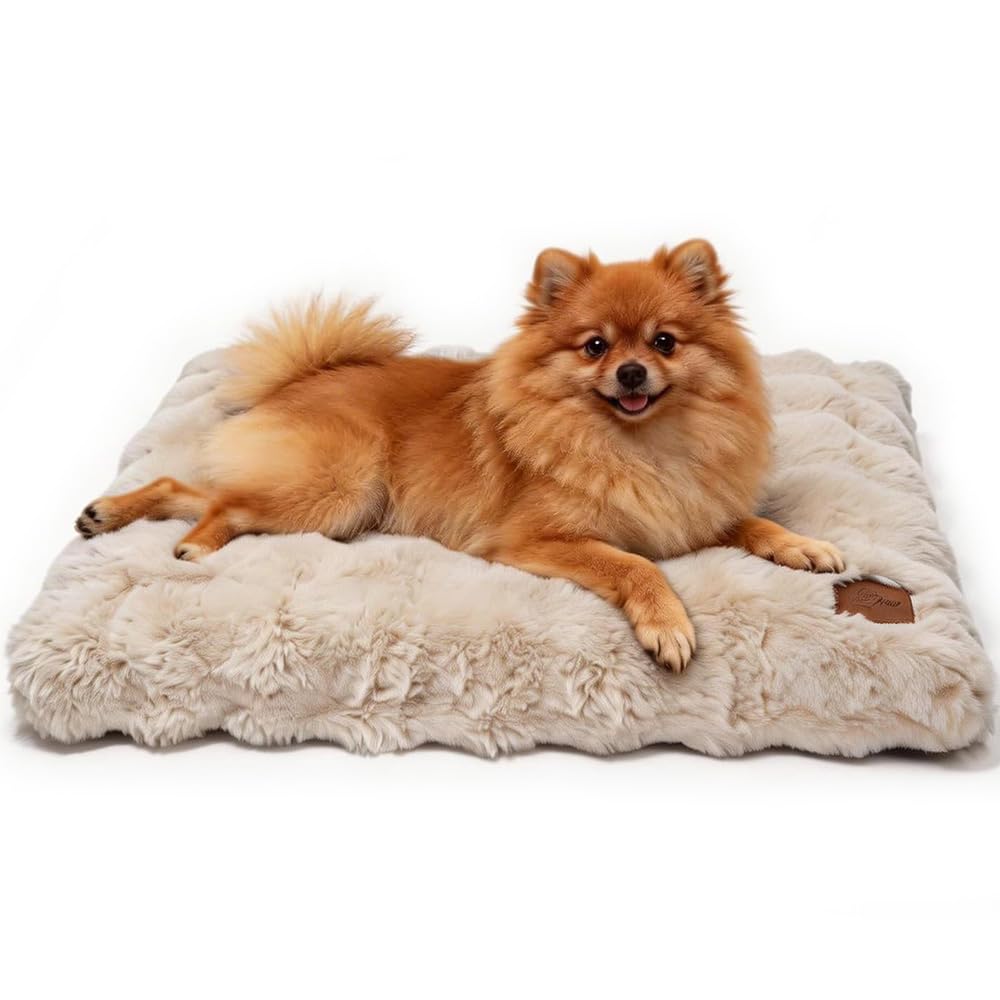 bingopaw-dog-bed-panier-chien-l-76x51x10-cm-beige-d-houssable image 1
