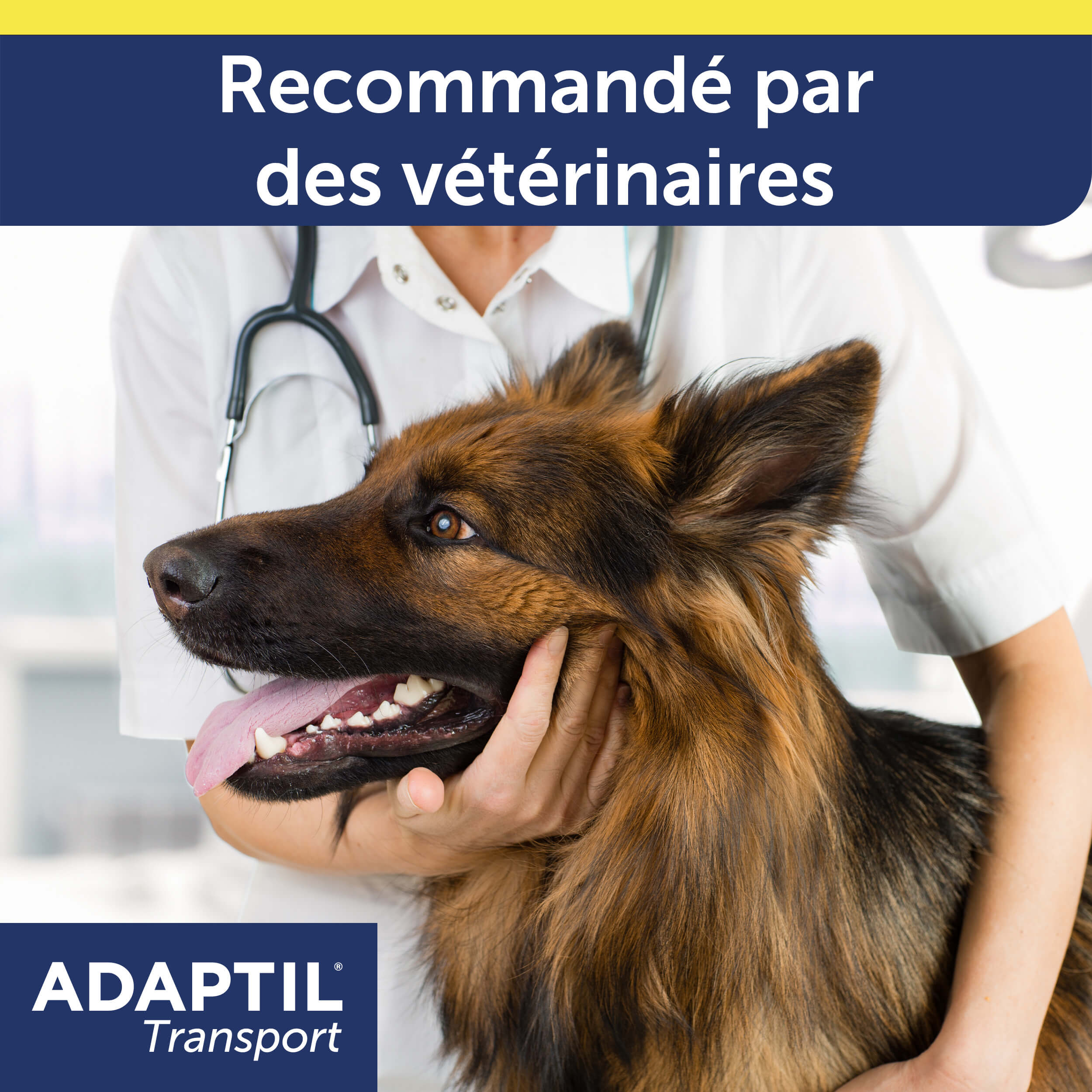 adaptil-transport-spray-apaisant-chien-voiture-20ml image 8