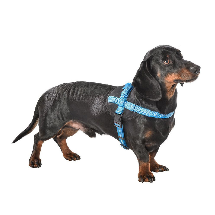 croci-bobby-harnais-chien-y-r-glable-easy-safe image 4