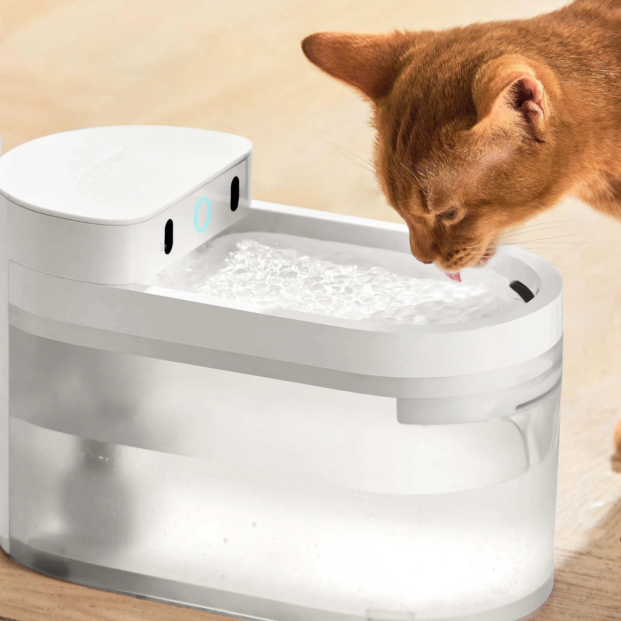 catlink-water-fountain-wireless-fontaine-eau-chat-single-set-2-3-l image 2